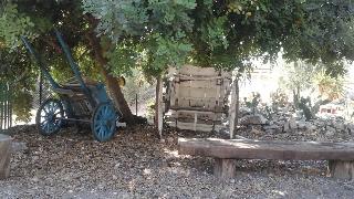 B&B La Ginestra fotoÄŸrafÄ±