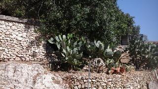 B&B La Ginestra fotoÄŸrafÄ±
