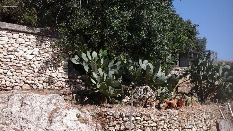 B&B La Ginestra - Genel