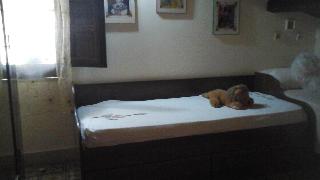 B&B La Ginestra fotoÄŸrafÄ±