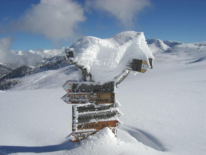 Hotel Bad Schoergau - Aktivite