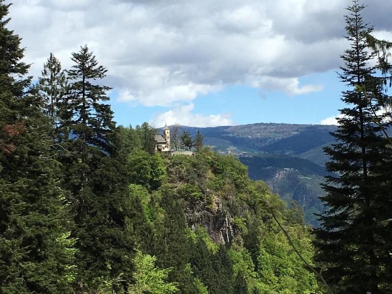 Boutique Hotel Zum Rosenbaum - Aktivite