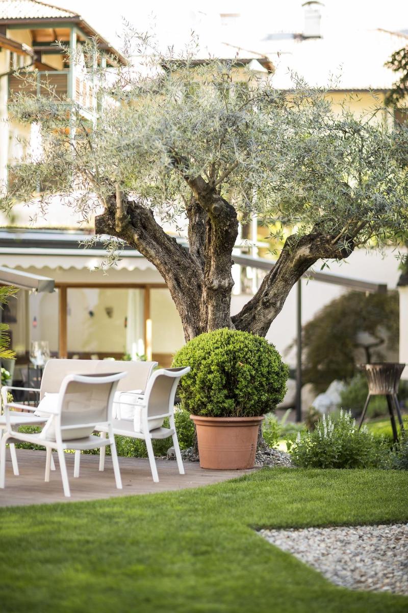 Boutique Hotel Zum Rosenbaum - Teras