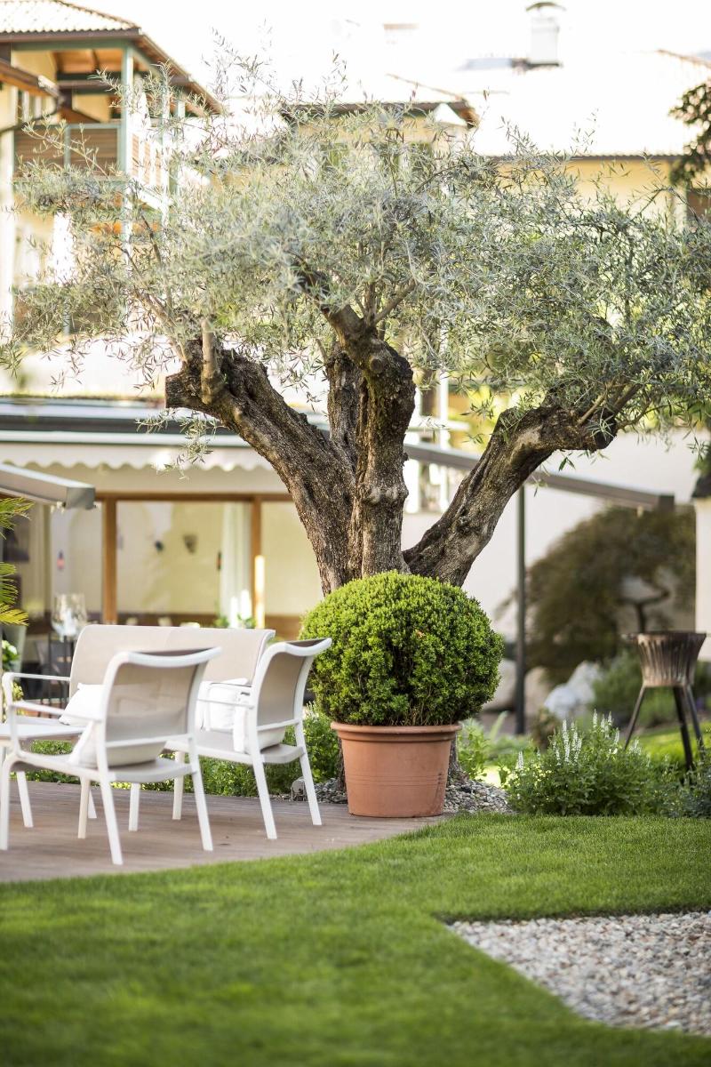 Boutique Hotel Zum Rosenbaum - Teras