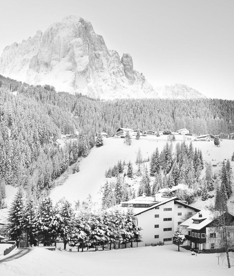 Art Hotel Anterleghes - Genel