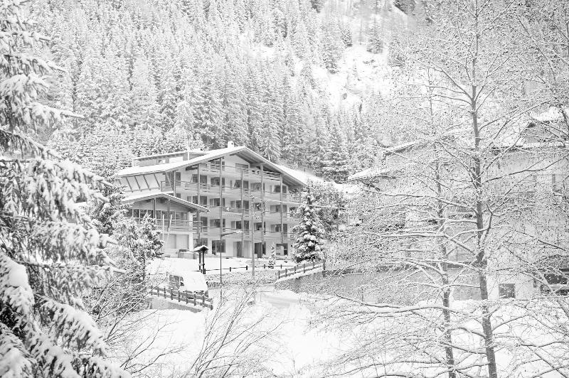 Art Hotel Anterleghes - Genel