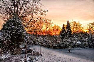 Hotel Villa Falkenberg fotoÄŸrafÄ±