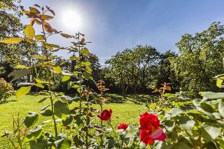Hotel Villa Falkenberg fotoÄŸrafÄ±
