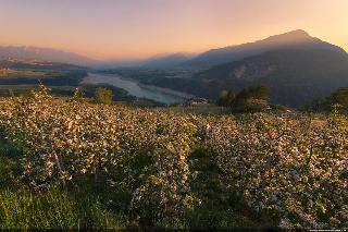 Villa Quercia fotoÄŸrafÄ±