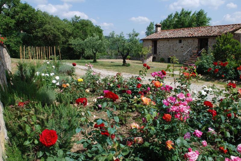 Relais Palazzo Di Luglio - Genel