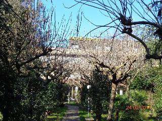 Park Hotel fotoÄŸrafÄ±