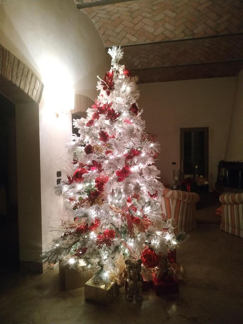 B&B Villa delle Palme - Lobi