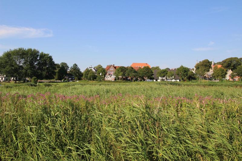 Hotel Zur Treene - Oda