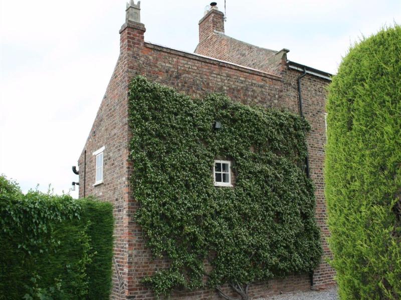 Manor Guest House - Genel