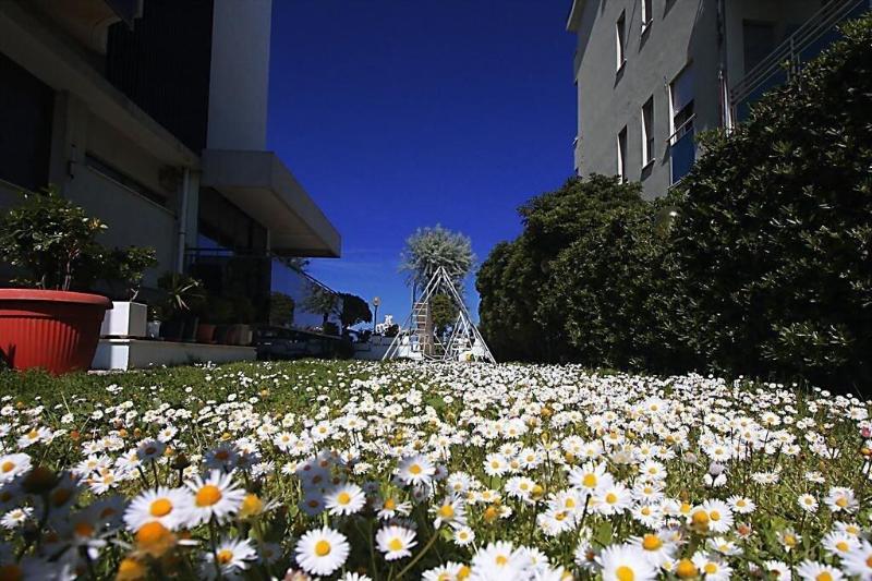 Hotel Avila In - Genel