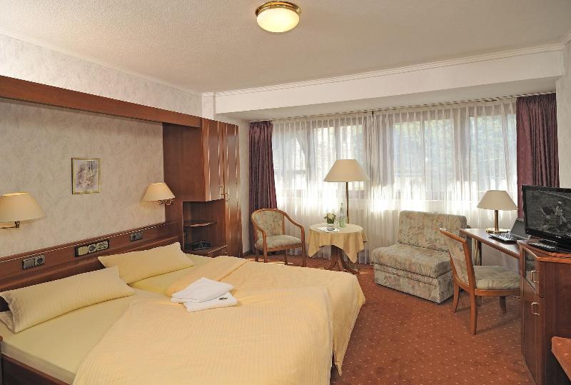 Hotel Bacharacher Hof - Oda