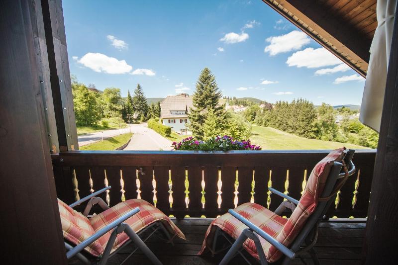 Hotel Waldeck - Teras