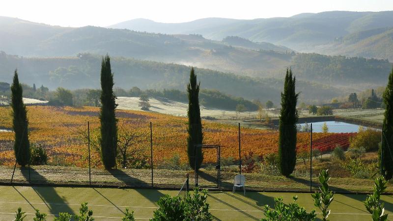 Villa Le Barone - Aktivite