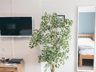 The Green W7 fotoÄŸrafÄ±
