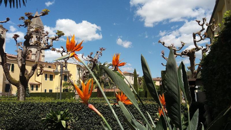 Albergo Roma - Genel