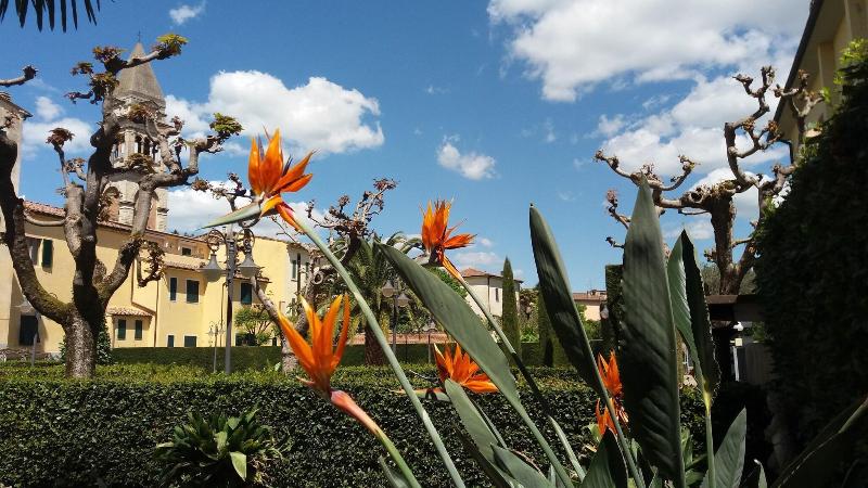 Albergo Roma - Teras