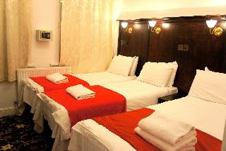 Plaza London Hotel fotoÄŸrafÄ±