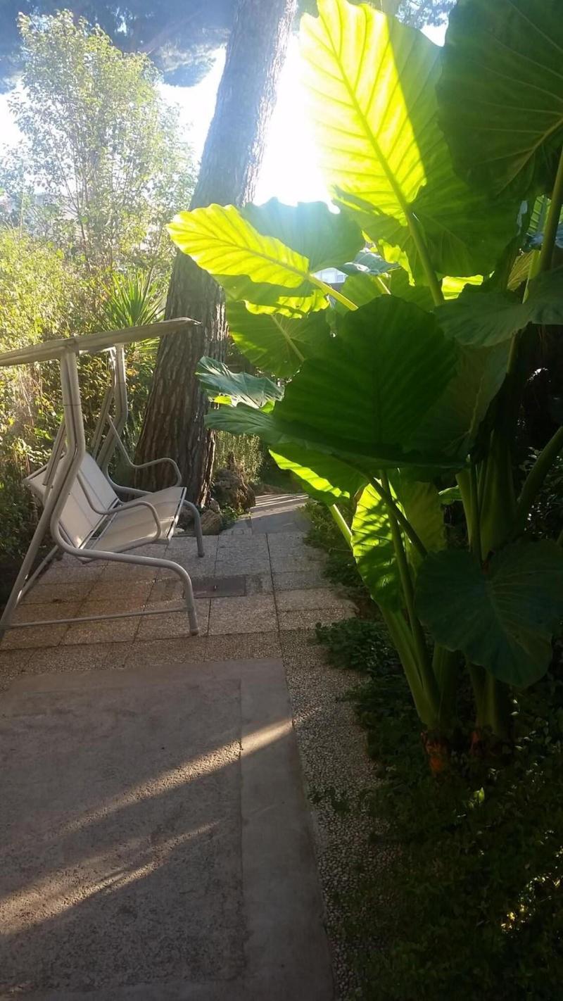 Hotel Desiderio - Genel