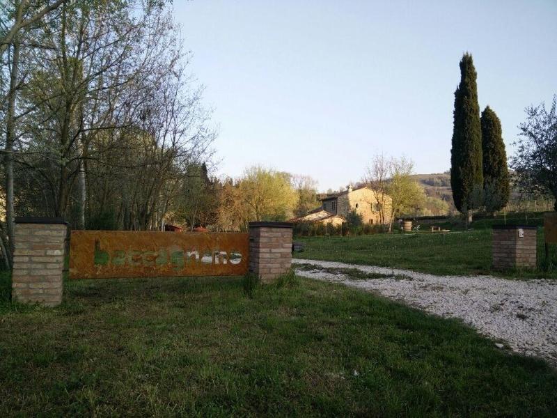 Azienda Agricola Baccagnano - Genel