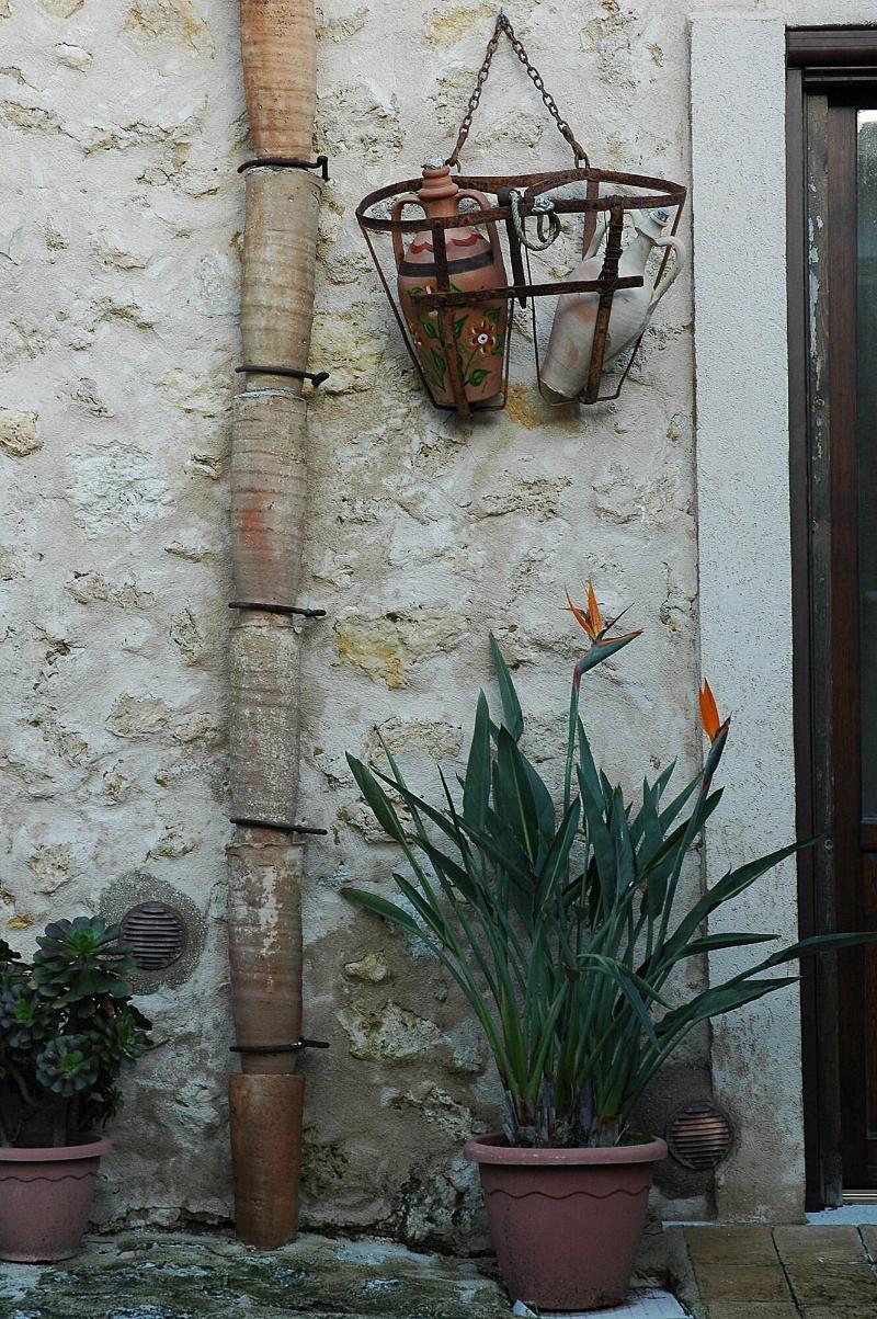 Agriturismo Baglio San Nicola - Genel