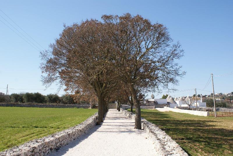 Masseria Grofoleo - Genel