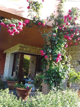 La Dolce Vita otel fotoğrafı