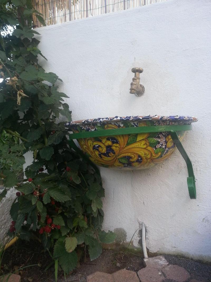 Hotel Senator Mediterraneo - Genel