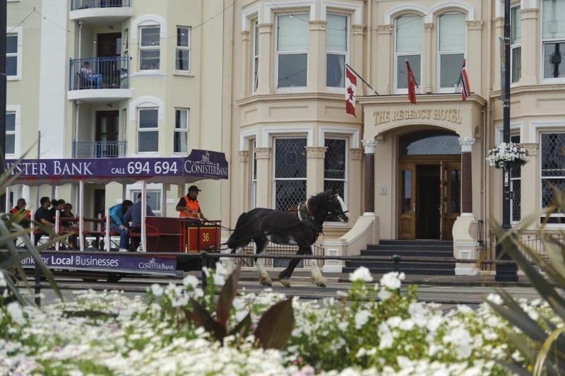 Regency Hotel - Genel