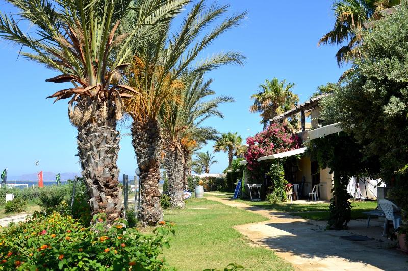 Resort Santa Maria - Genel