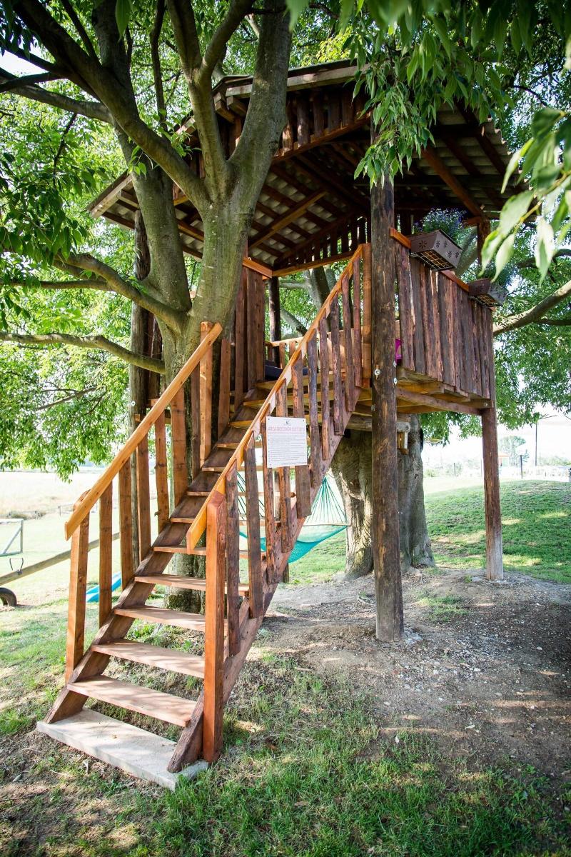 Agriturismo Bosco Del Gal - Aktivite