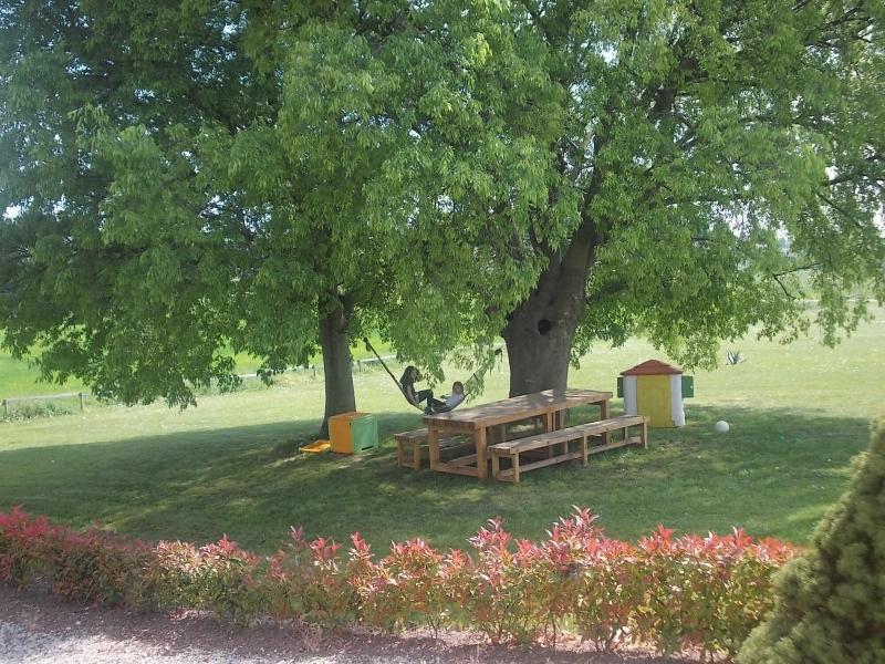 Agriturismo Bosco Del Gal - Aktivite