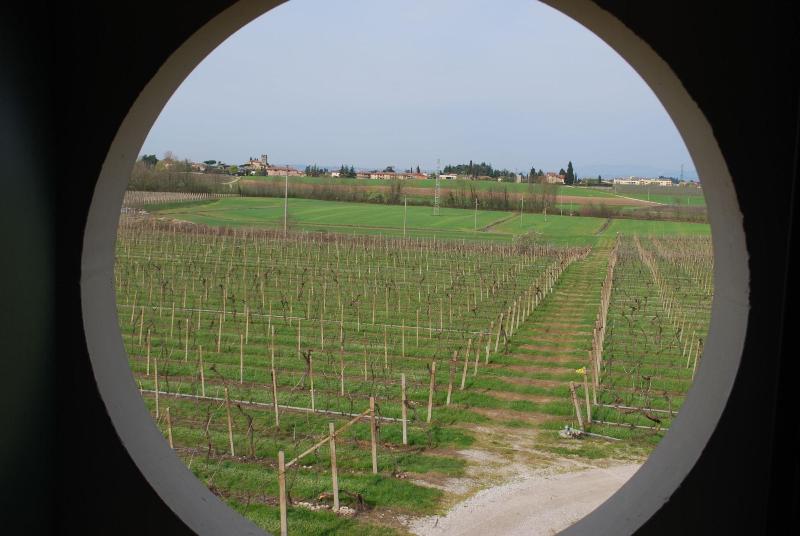 Agriturismo Bosco Del Gal - Genel
