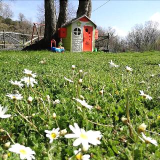 Viola Nel Parco fotoÄŸrafÄ±