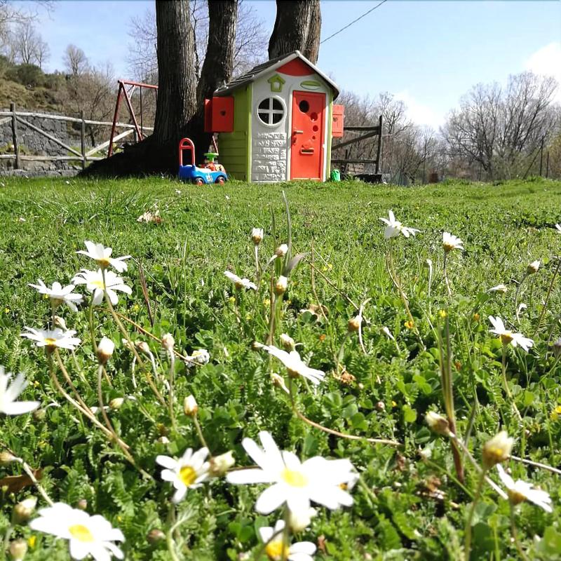 Viola Nel Parco - Aktivite
