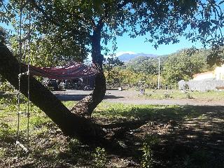 Viola Nel Parco fotoÄŸrafÄ±