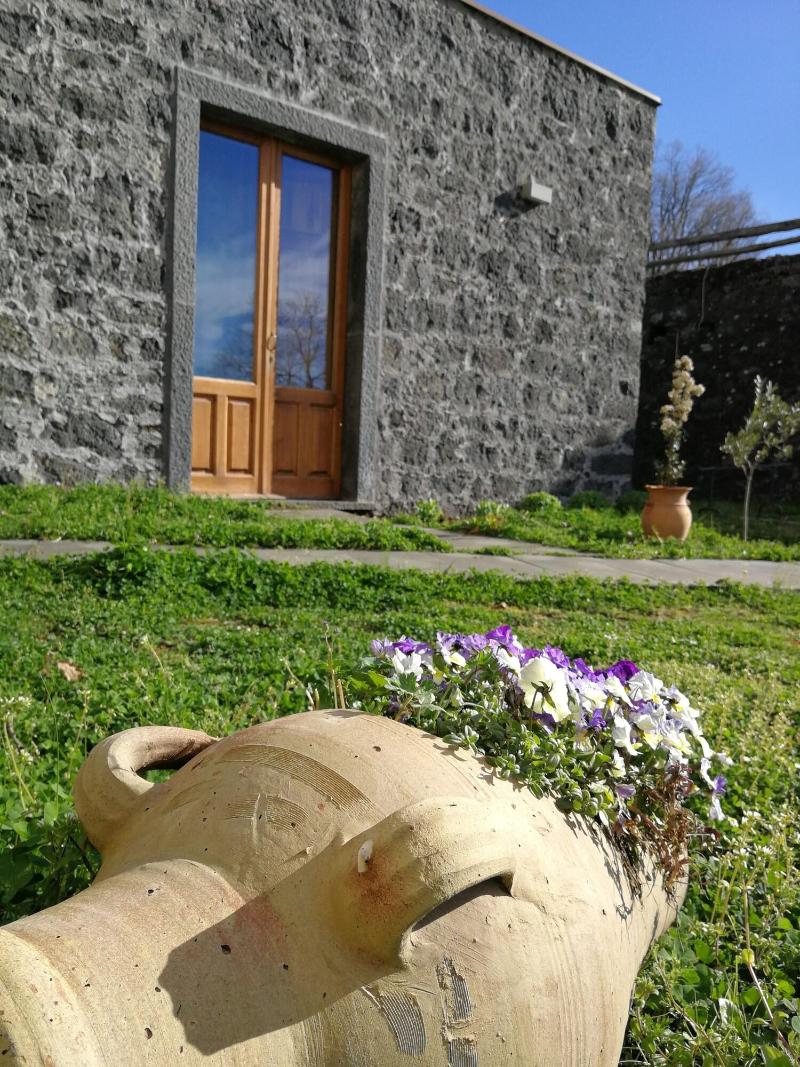 Viola Nel Parco - Oda