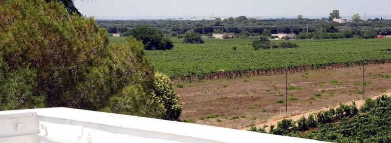 Masseria La Camardia - Genel