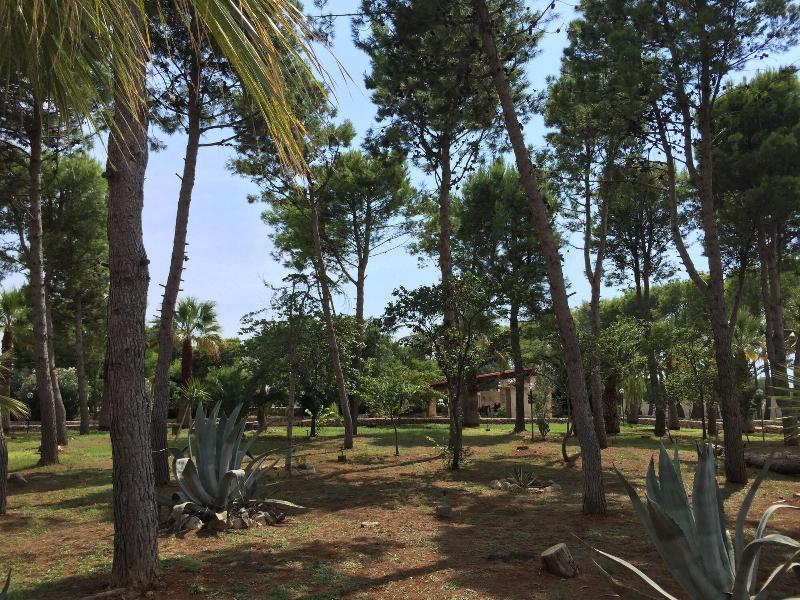 Masseria La Camardia - Genel
