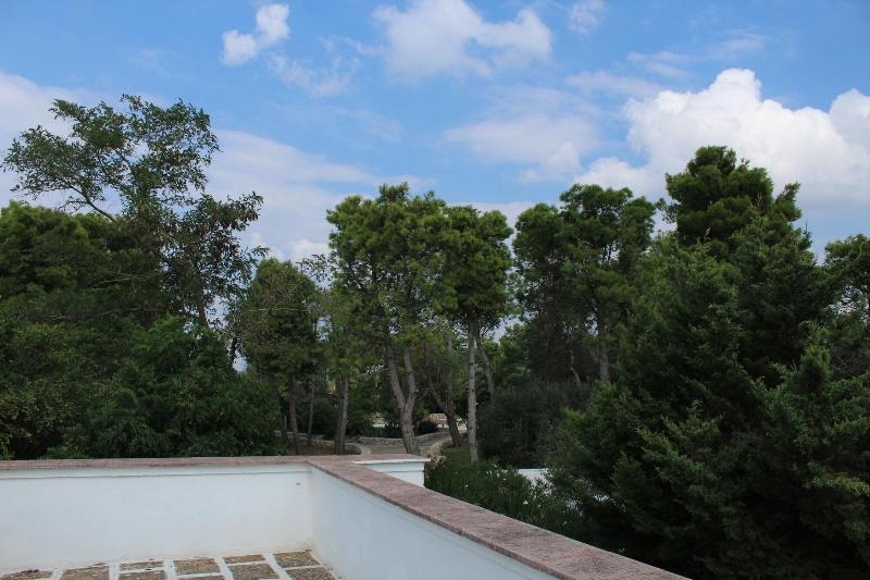 Masseria La Camardia - Oda