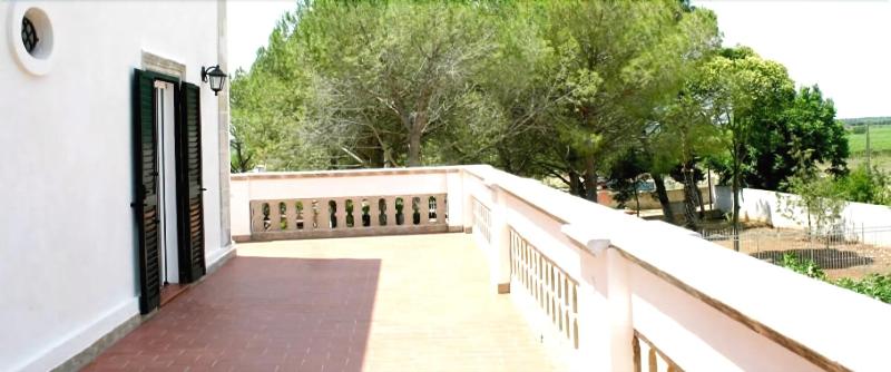 Masseria La Camardia - Teras