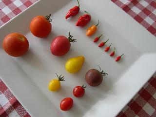 Locanda La Pieve fotoÄŸrafÄ±