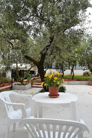 B&B Il Girasole otel fotoğrafı