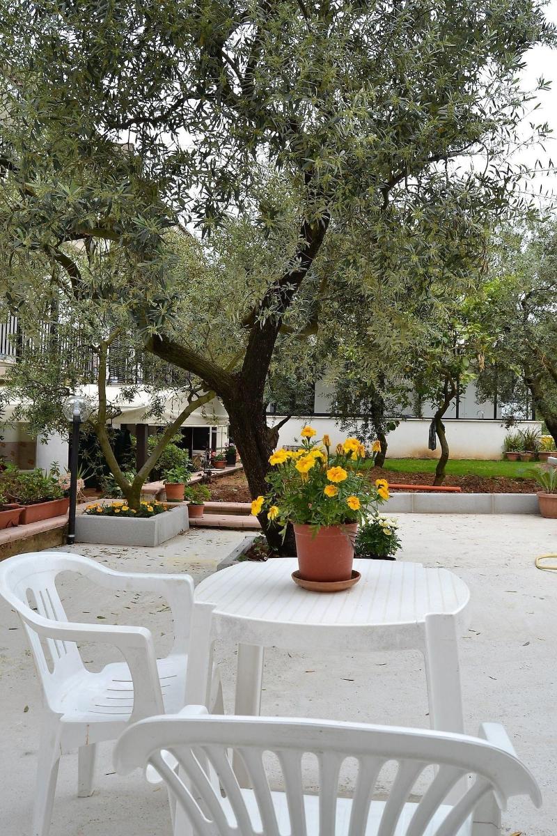 B&B Il Girasole - Genel