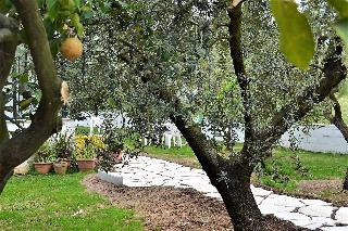 B&B Il Girasole fotoÄŸrafÄ±