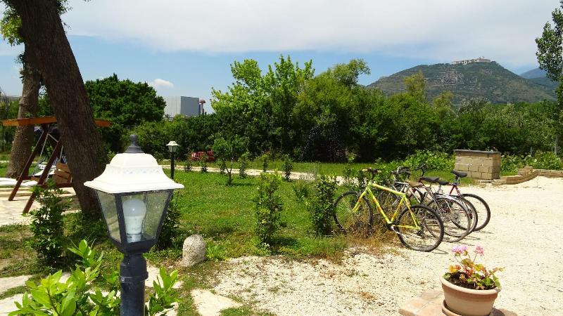 Agriturismo Il Pioppeto - Aktivite
